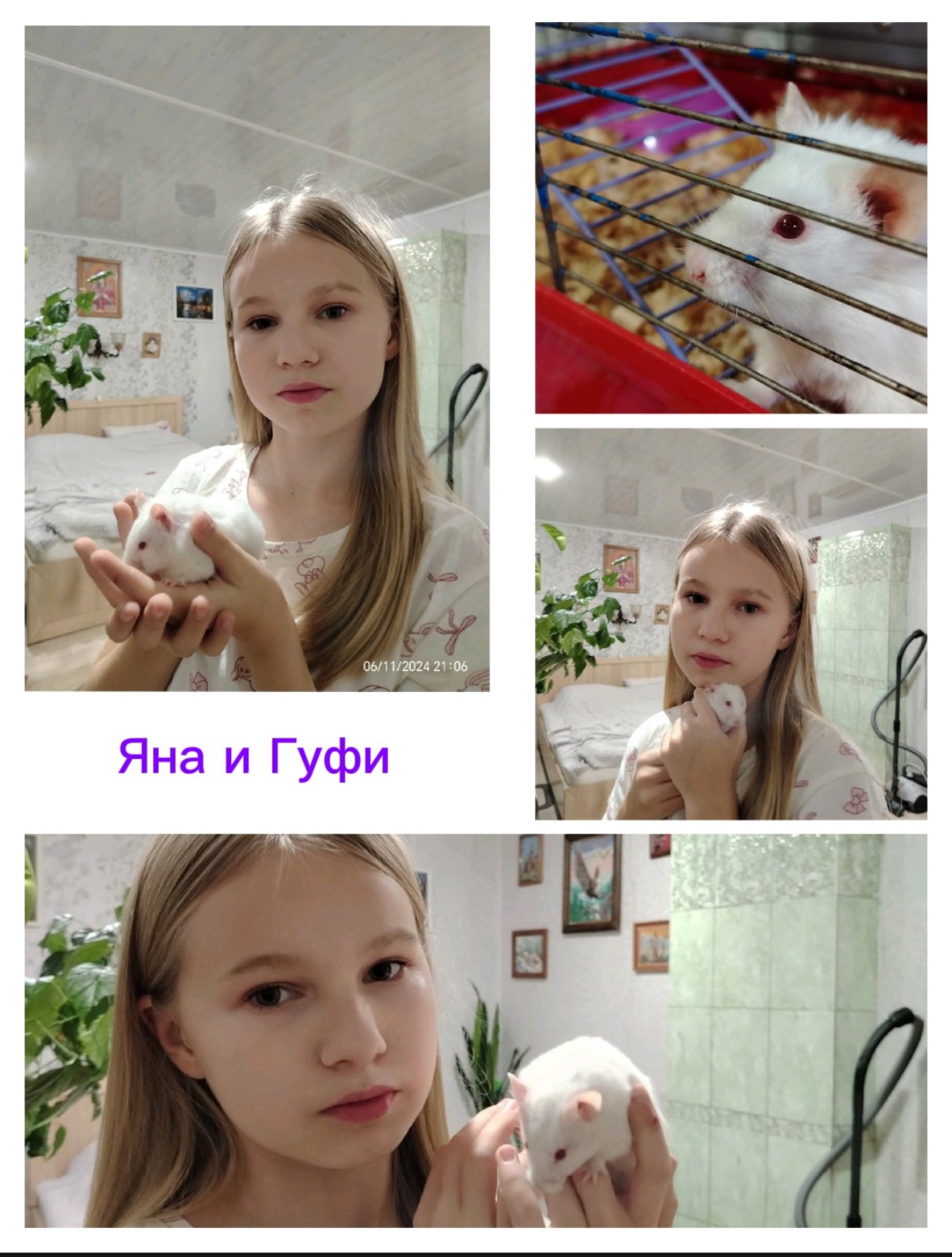 изображение_viber_2024-11-12_17-32-59-599